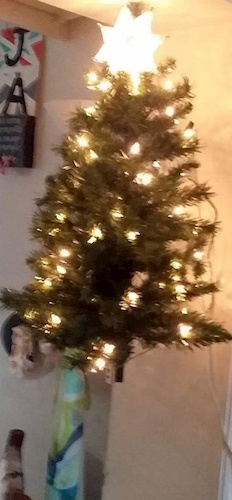 12 ways to protect the Christmas tree from twins or triplets! Hanging Christmas tree