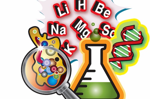 Learning programs and educational apps for school aged children educational apps for school aged children: online science programs