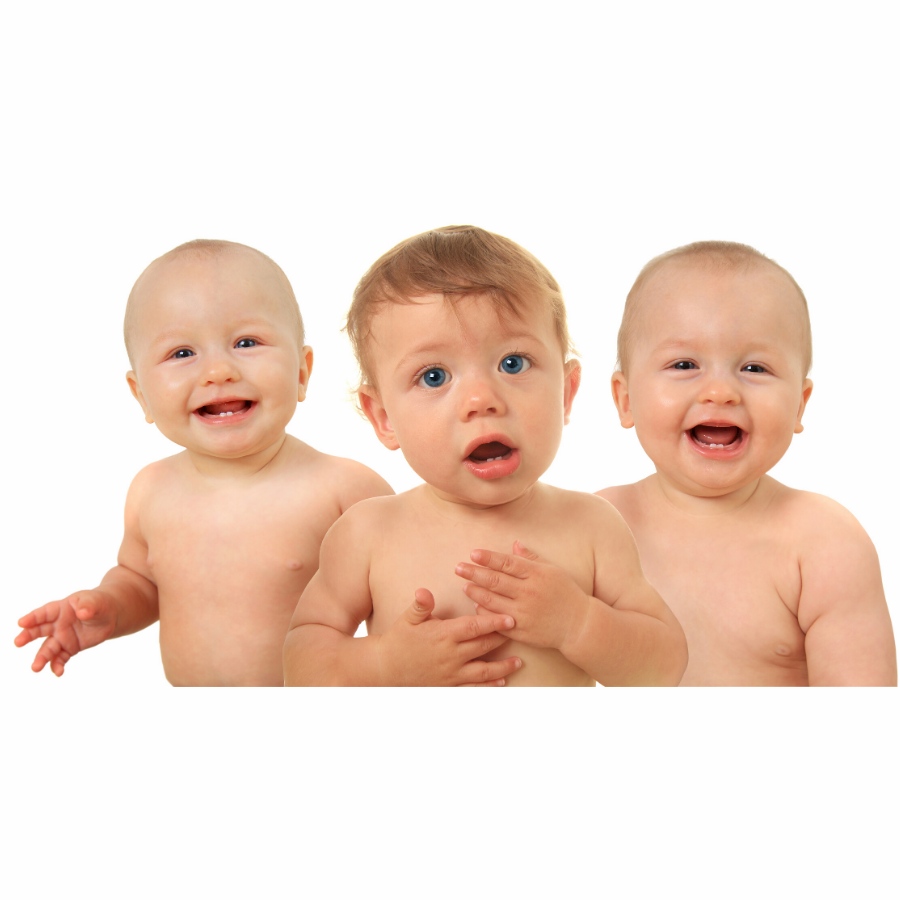 the multiple birth market