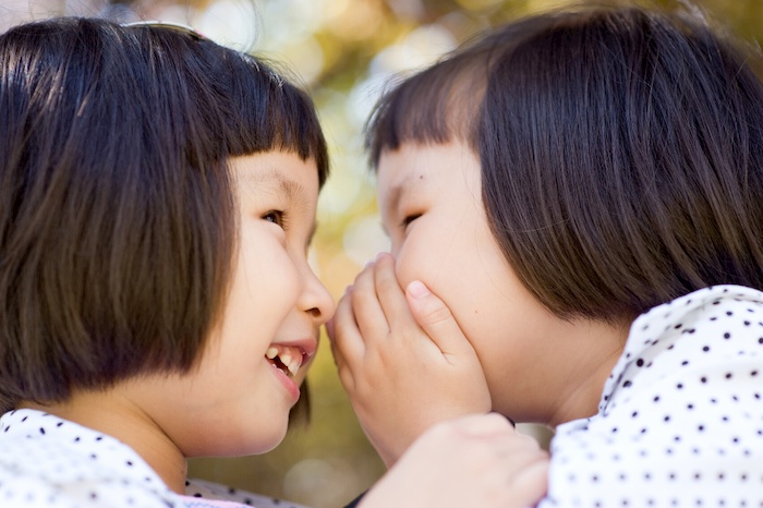 twin secret language