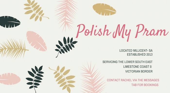 Choosing a twin pram. 7 tips from a twin mum. Polish My Pram