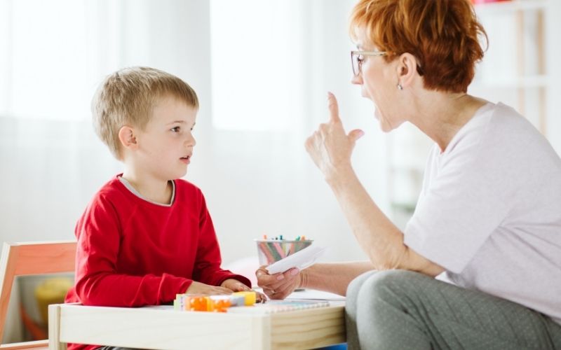 Language development in twins and multiples