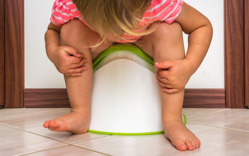 Triplets, Twins and Toilet Training- tips, tricks and checklists to ensure a smooth transition triplets twins and toilet training