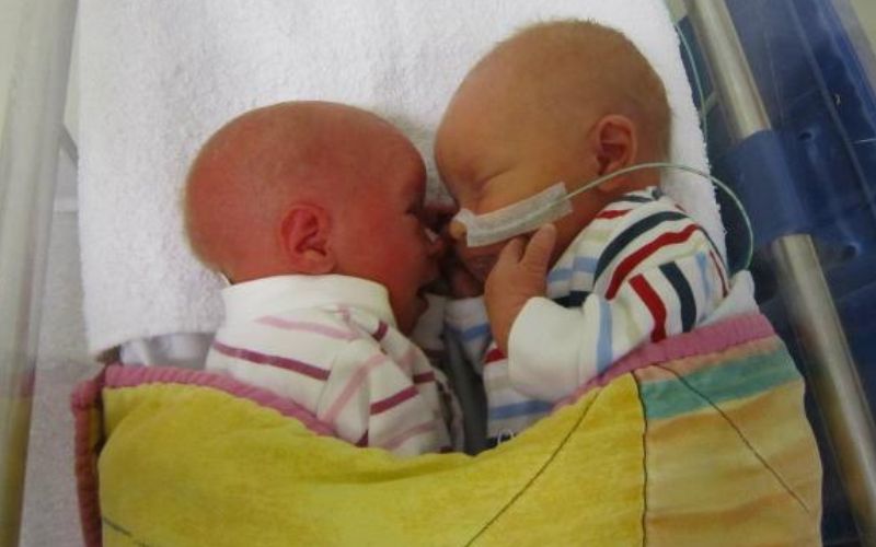 fraternal twins boy girl