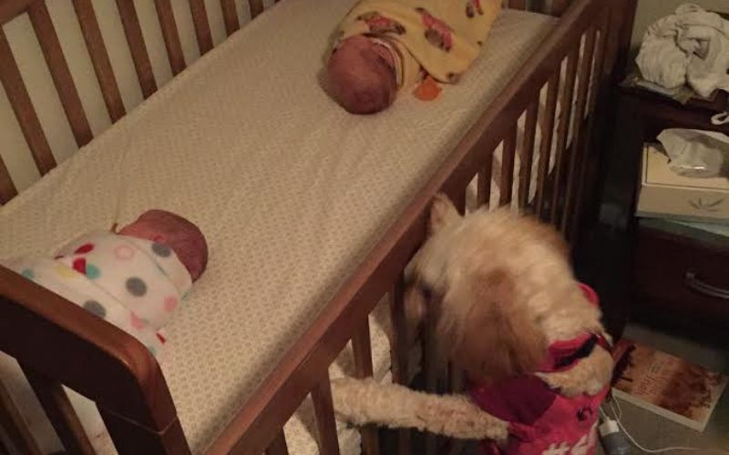 Twins born at 32 weeks and 4 days twins born 32 plus 4