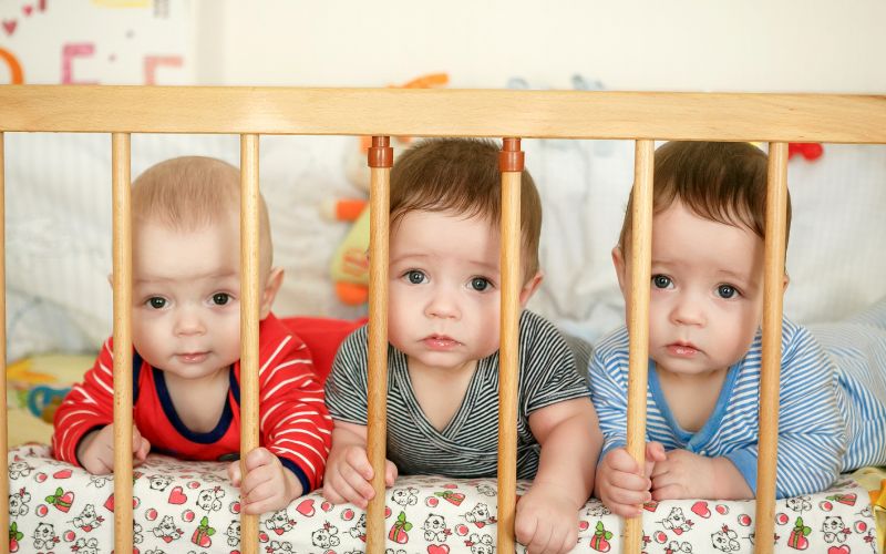 The Multiple Birth Dictionary. An overview of common multiple birth terms. Trizygotic meaning