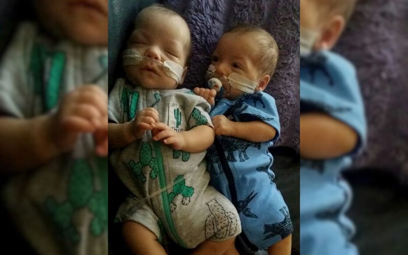 twins who have cerebral palsy