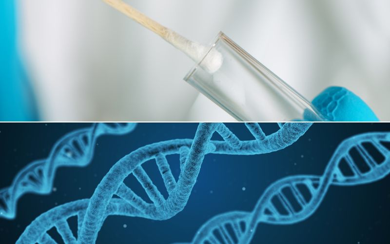 Could my twins be identical? Twin Zygosity DNA testing for zygosity