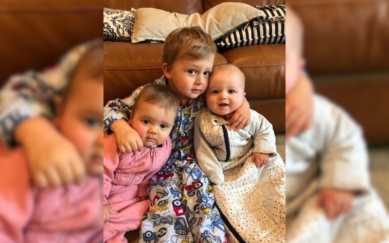 Introducing a toddler to newborn twins