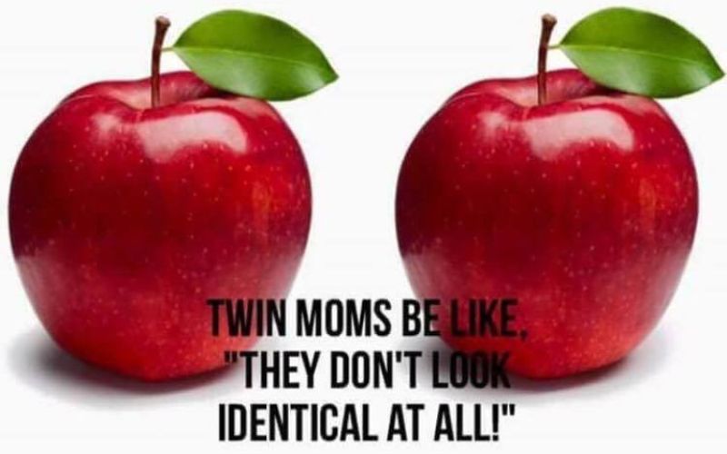 Could my twins be identical? Twin Zygosity differences between identical twins